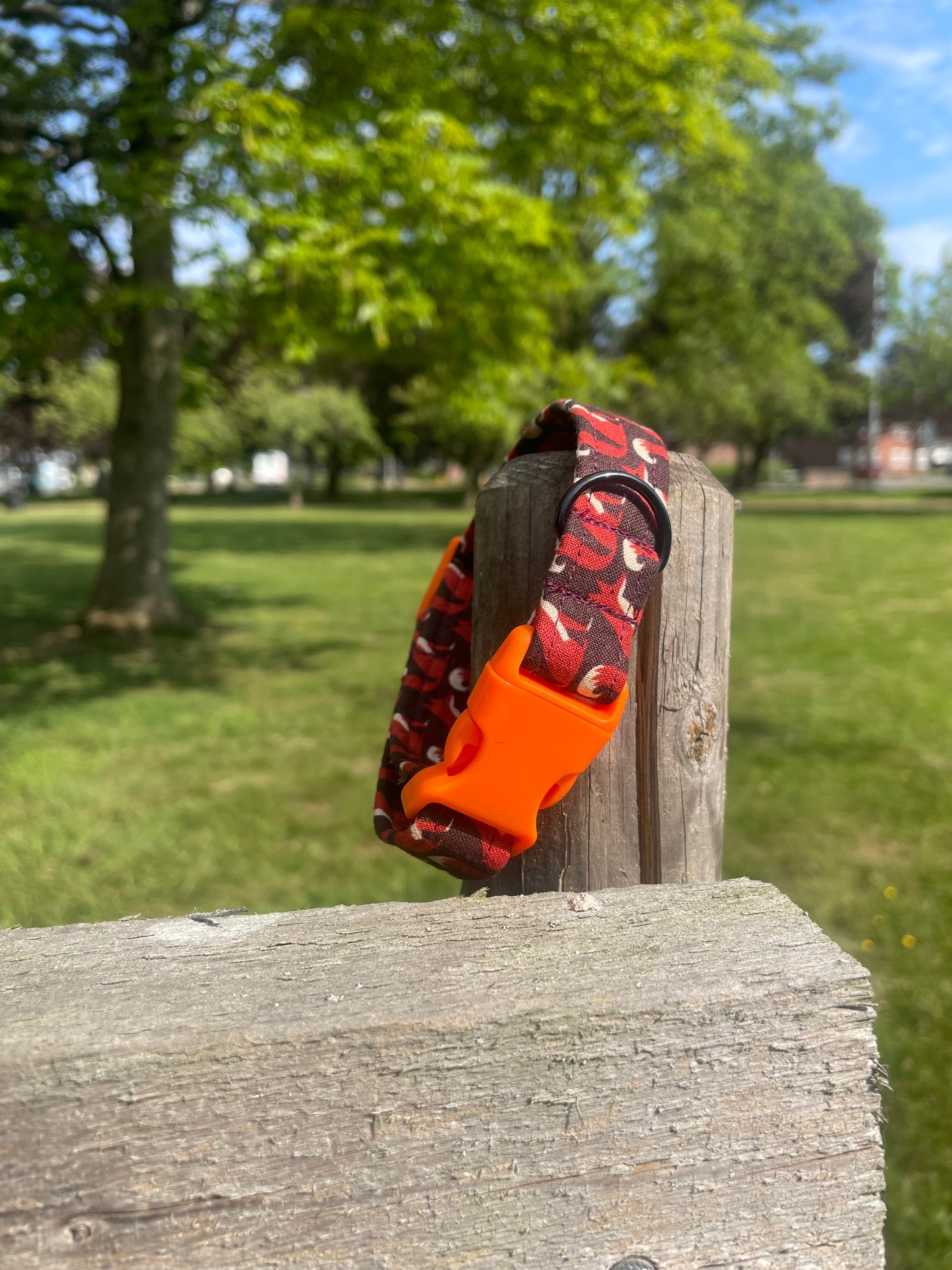 The Fox Dog Collar ( Orange Buckle & Adjuster)